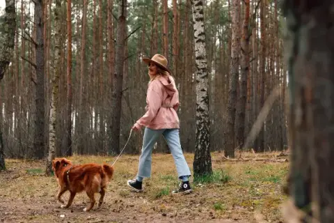 Kiedy wychodzić z psem na spacer, aby uniknąć problemów zdrowotnych?